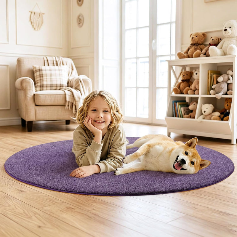 Soft Washable Rugs for Living Room Fluffy