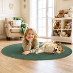 Soft Washable Rugs for Living Room Fluffy