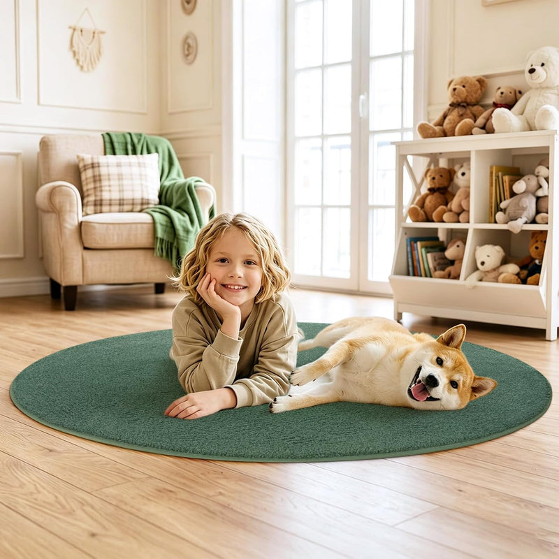 Soft Washable Rugs for Living Room Fluffy