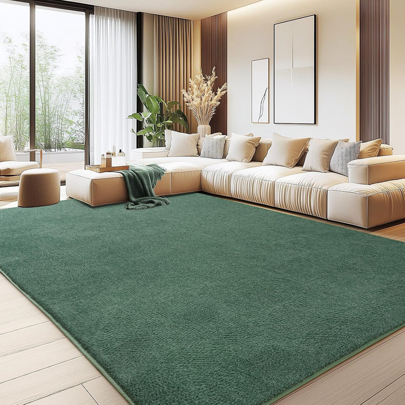 Soft Washable Rugs for Living Room Fluffy