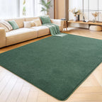 Soft Washable Rugs for Living Room Fluffy