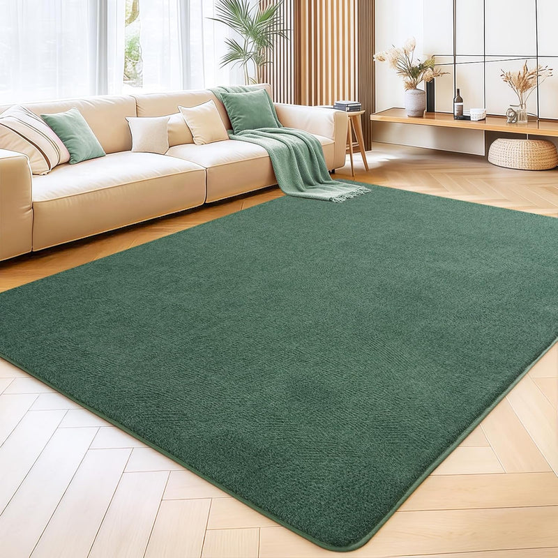 Soft Washable Rugs for Living Room Fluffy