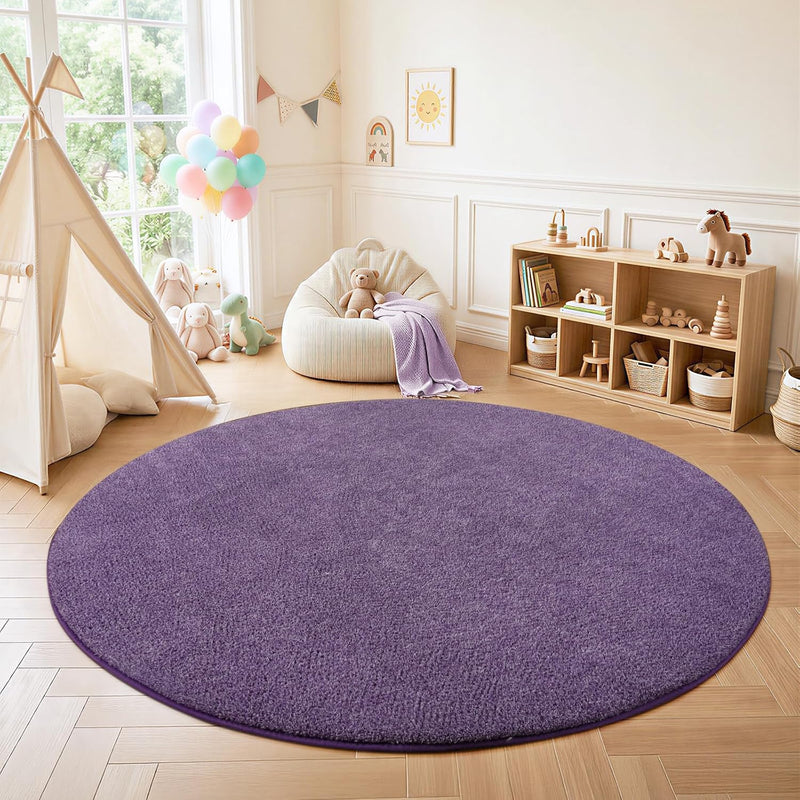 Soft Washable Rugs for Living Room Fluffy