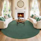 Soft Washable Rugs for Living Room Fluffy