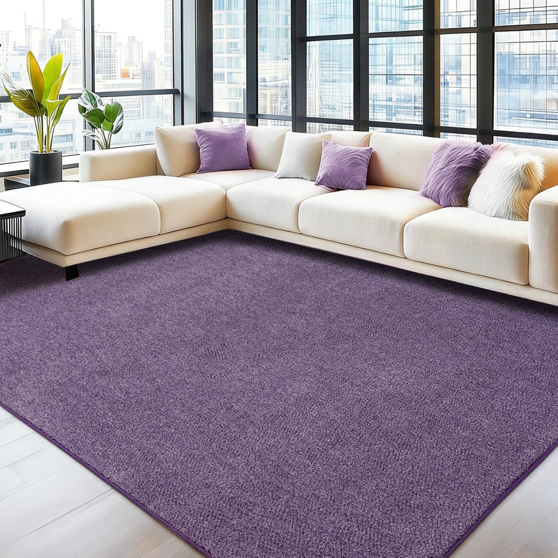 Soft Washable Rugs for Living Room Fluffy