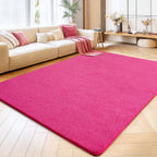 Soft Washable Rugs for Living Room Fluffy