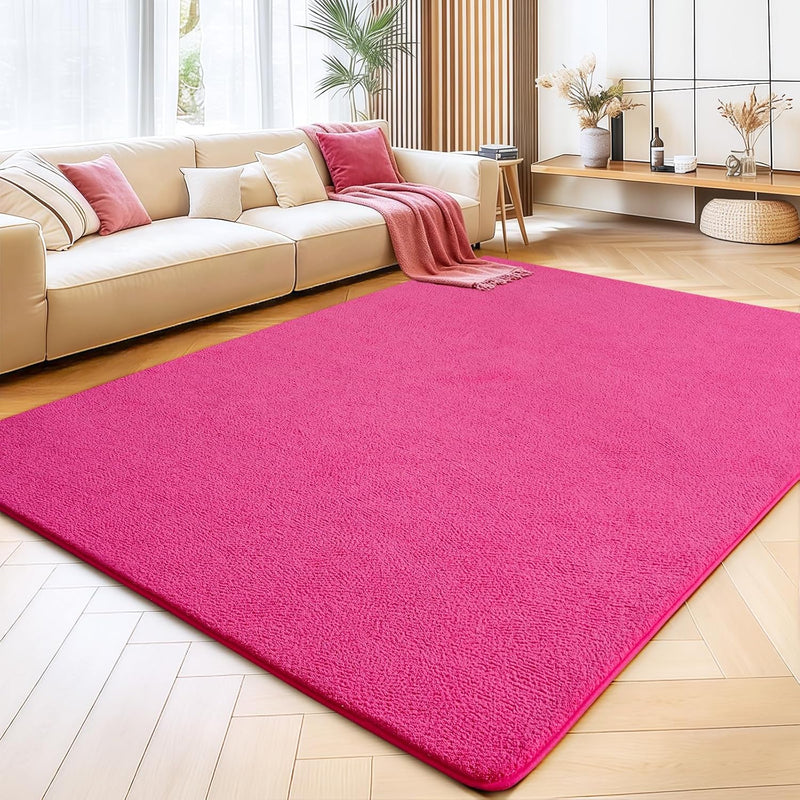Soft Washable Rugs for Living Room Fluffy