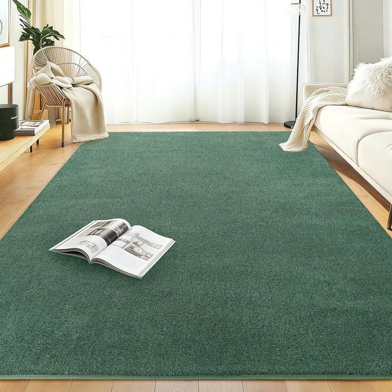 Soft Washable Rugs for Living Room Fluffy