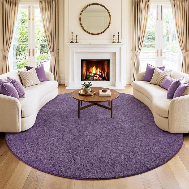 Soft Washable Rugs for Living Room Fluffy