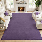 Soft Washable Rugs for Living Room Fluffy