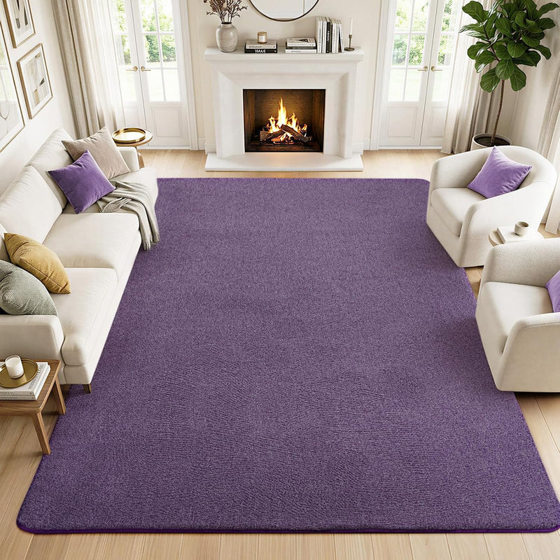Soft Washable Rugs for Living Room Fluffy