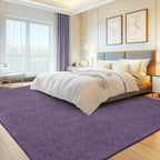 Soft Washable Rugs for Living Room Fluffy