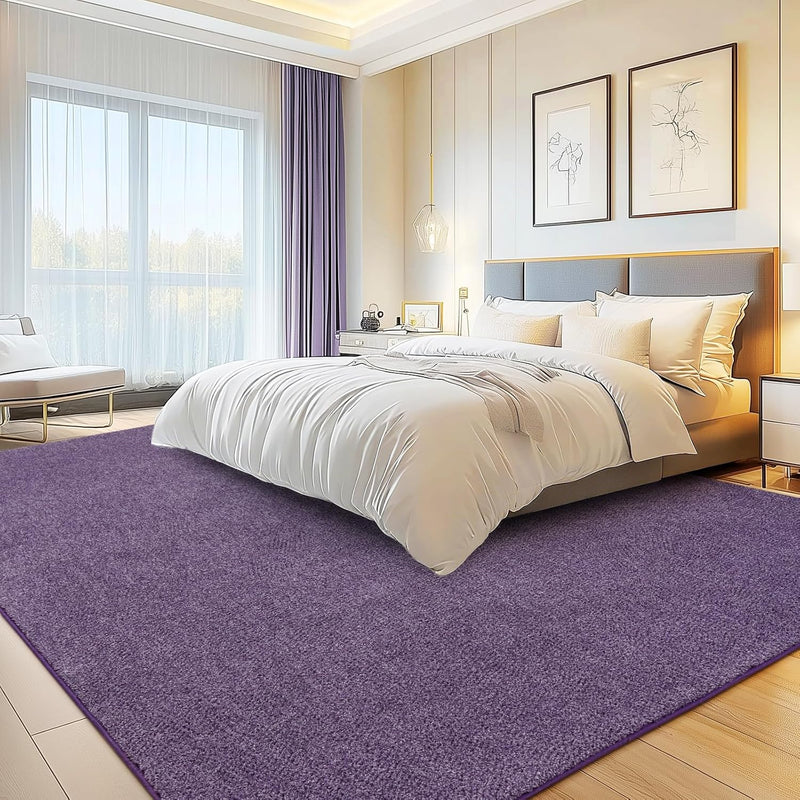 Soft Washable Rugs for Living Room Fluffy