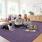 Soft Washable Rugs for Living Room Fluffy