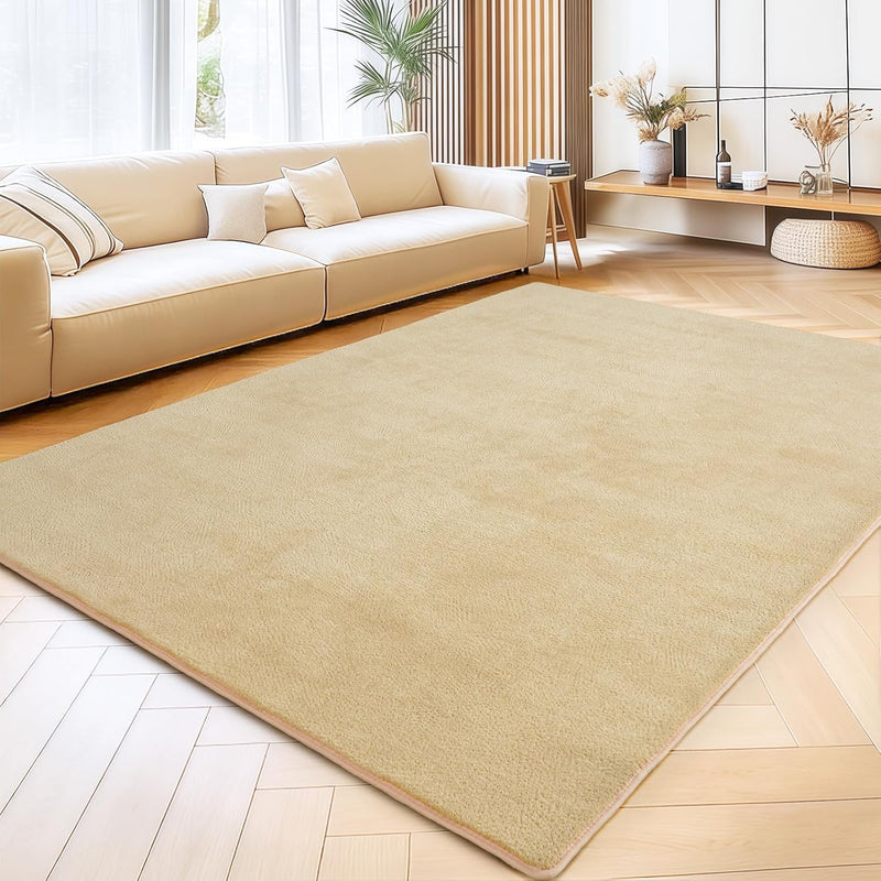 Soft Washable Rugs for Living Room Fluffy