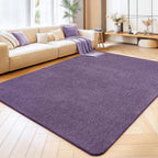 Soft Washable Rugs for Living Room Fluffy