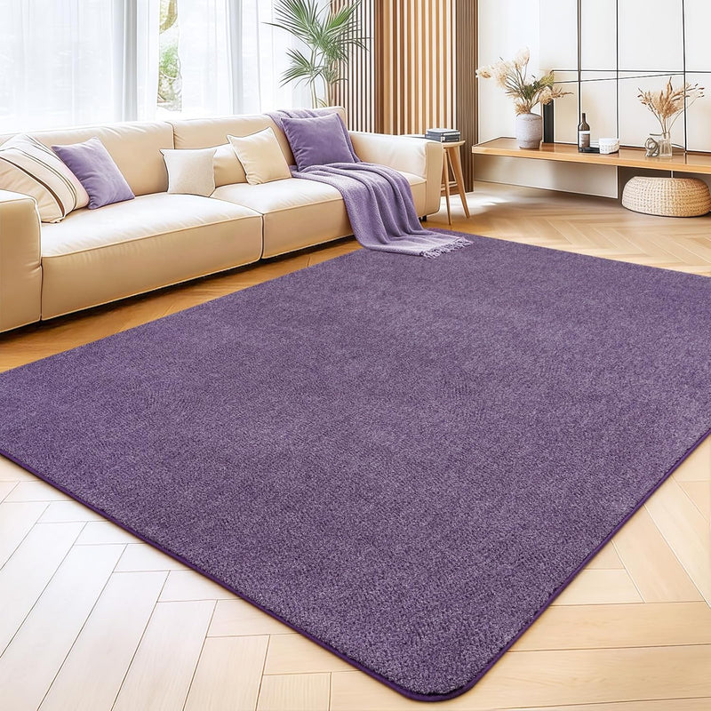 Soft Washable Rugs for Living Room Fluffy