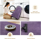 Soft Washable Rugs for Living Room Fluffy