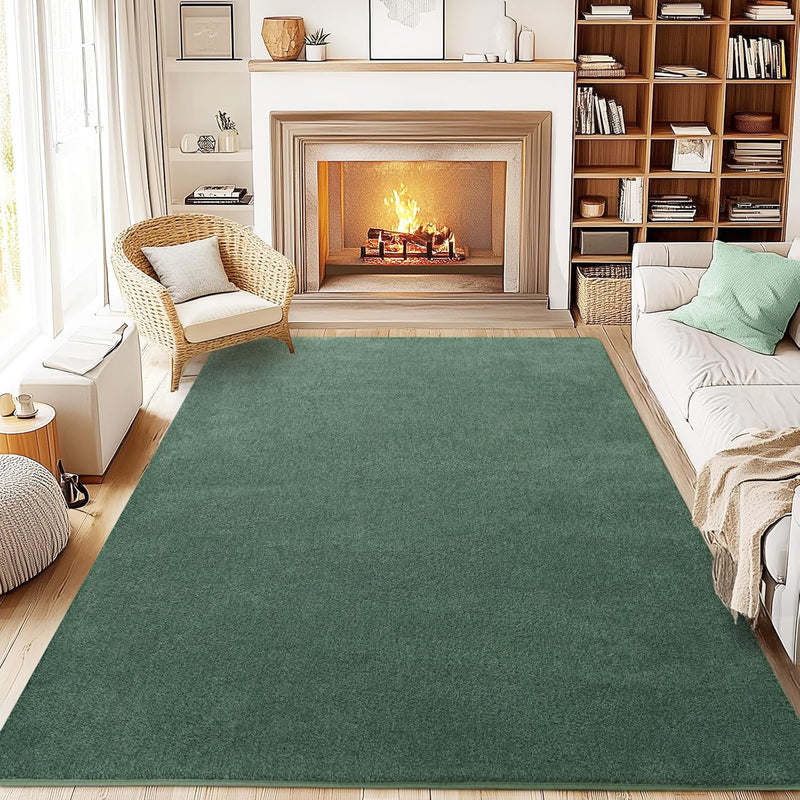 Soft Washable Rugs for Living Room Fluffy