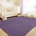 Soft Washable Rugs for Living Room Fluffy