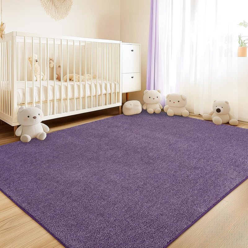 Soft Washable Rugs for Living Room Fluffy