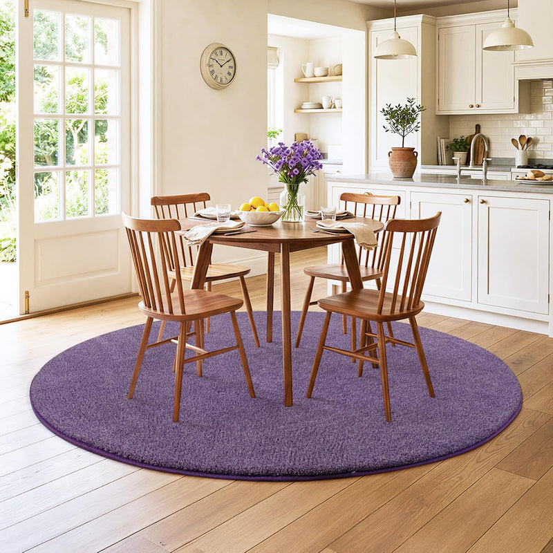 Soft Washable Rugs for Living Room Fluffy