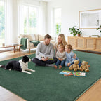 Soft Washable Rugs for Living Room Fluffy