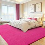 Soft Washable Rugs for Living Room Fluffy