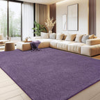 Soft Washable Rugs for Living Room Fluffy