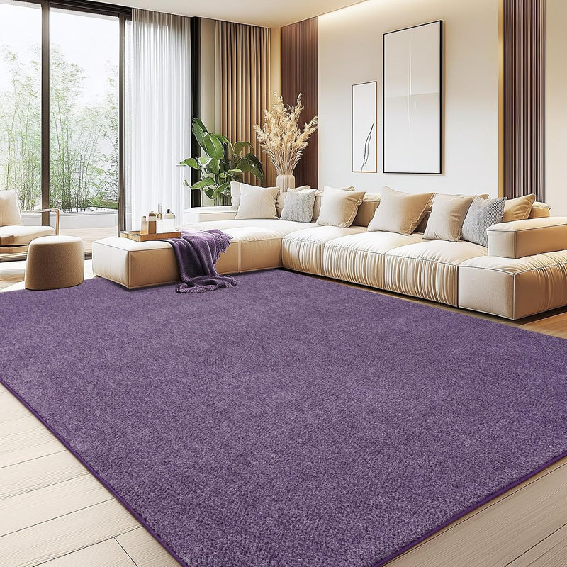 Soft Washable Rugs for Living Room Fluffy