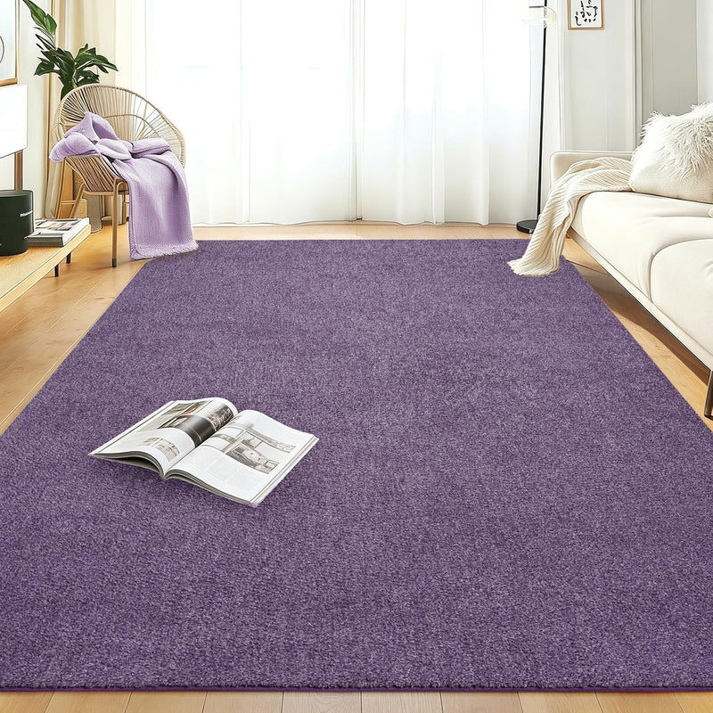 Soft Washable Rugs for Living Room Fluffy