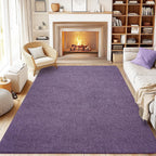 Soft Washable Rugs for Living Room Fluffy