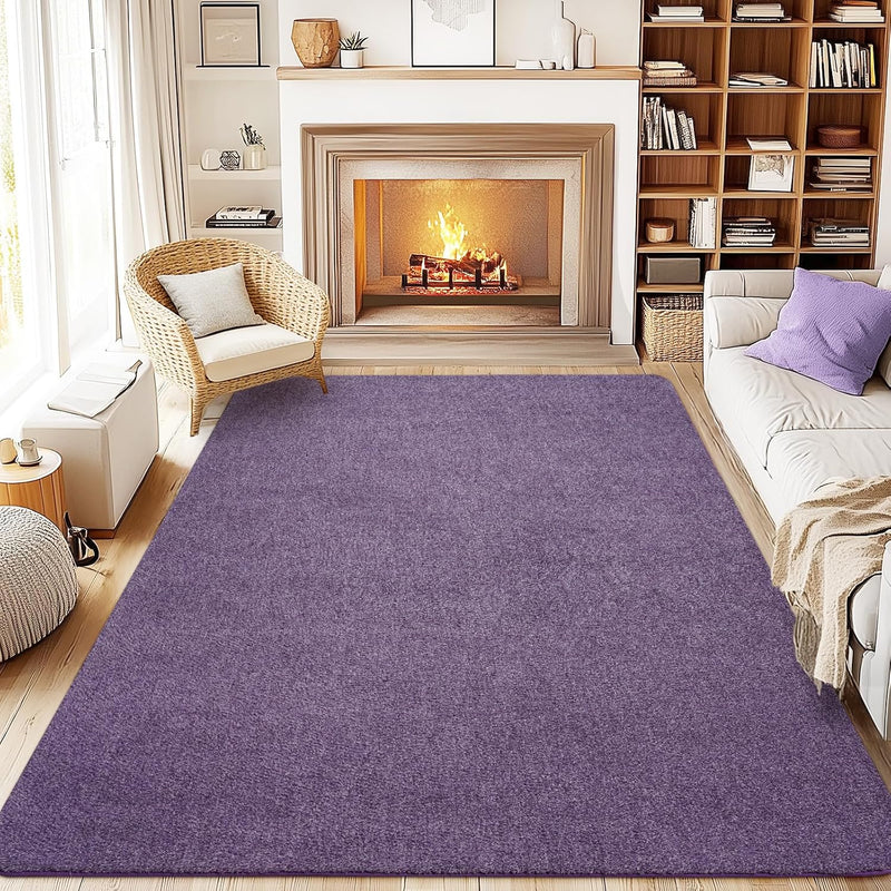 Soft Washable Rugs for Living Room Fluffy