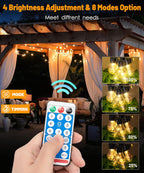 Solar Festoon Lights