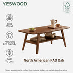 Solid Wood Coffee Table with Shelf Minimalist 2