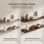 Solid Wood Floating Shelves 60CM Natural Elm Wall (Set of 2)