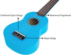 Soprano Ukulele Beginner Kit 21 Inch Ukelele W