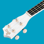 Soprano Ukulele Starter Kit for Beginners with Bag