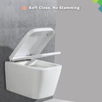 Square Toilet Seat Features Soft-Close Loo with One-Button