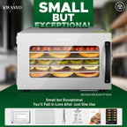 Stainless Steel Food Dehydrator 6 Tray Fruit Dryer