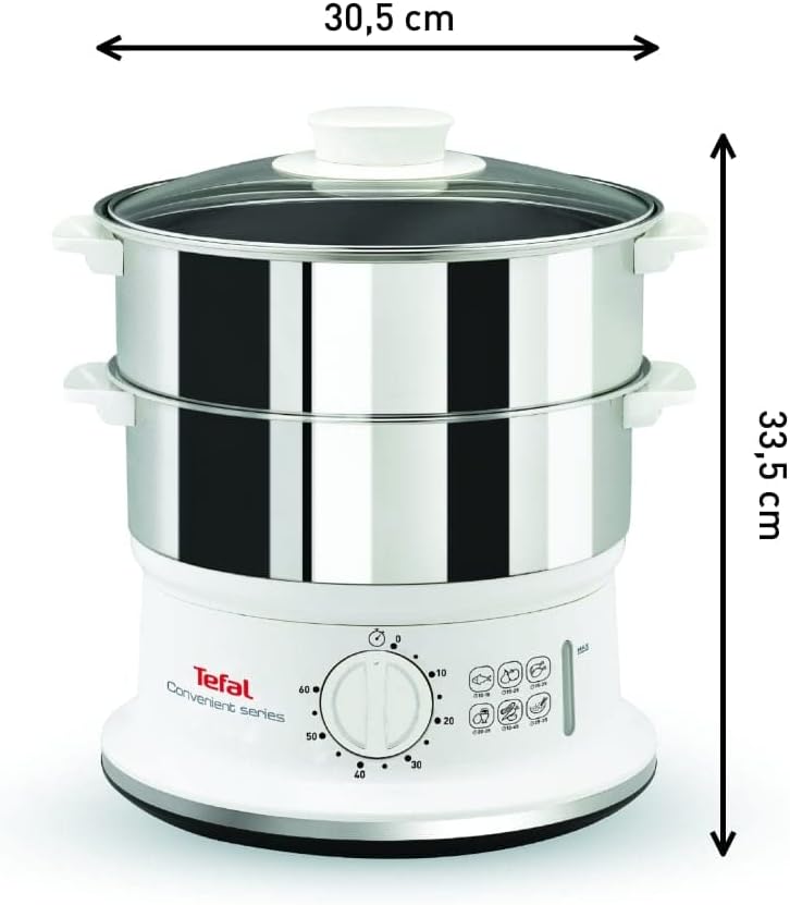 Steam Cooker 2 Stainless Steel Containers