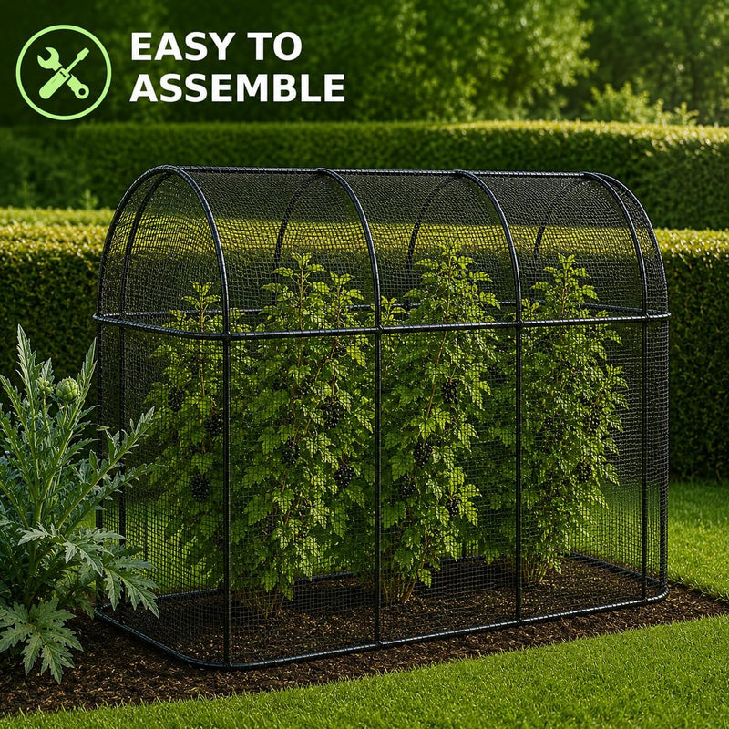 Steel Long Fruit Cage Frame with Bird Netting