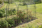Steel Long Fruit Cage Frame with Bird Netting