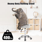 Stool Chair on Wheels for Beauty Kitchen Salon