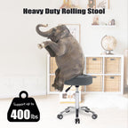 Stool Chair on Wheels for Beauty Kitchen Salon