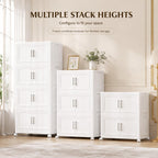 Storage Boxes with Lid 80lx5 Tier Plastic Box