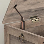 Storage Chest Trunk Wooden Box Large Toy Chests