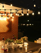 S14 Festoon Lights