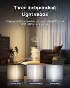 Matter Rgbicww Floor Lamp Warm Cool LED Corner