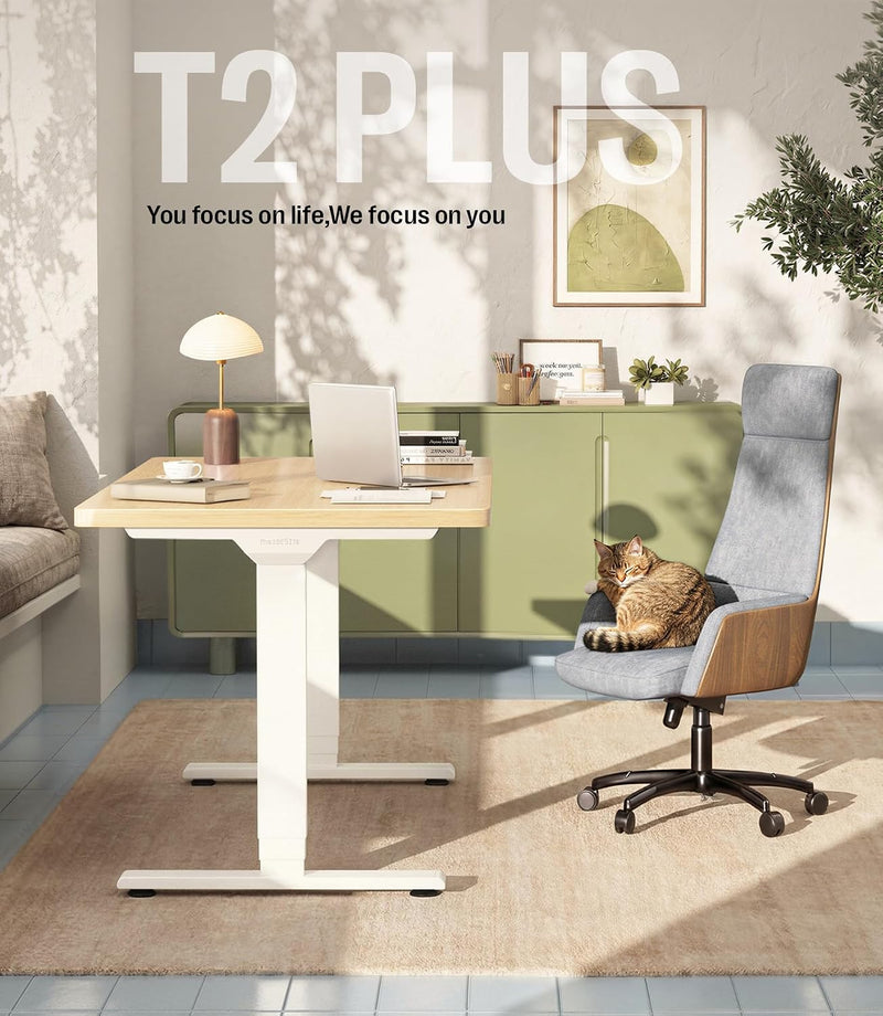 T2 Standing Desk Frame Dual Motor Electric Legs